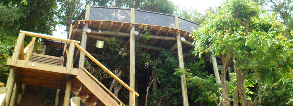 Banner 2